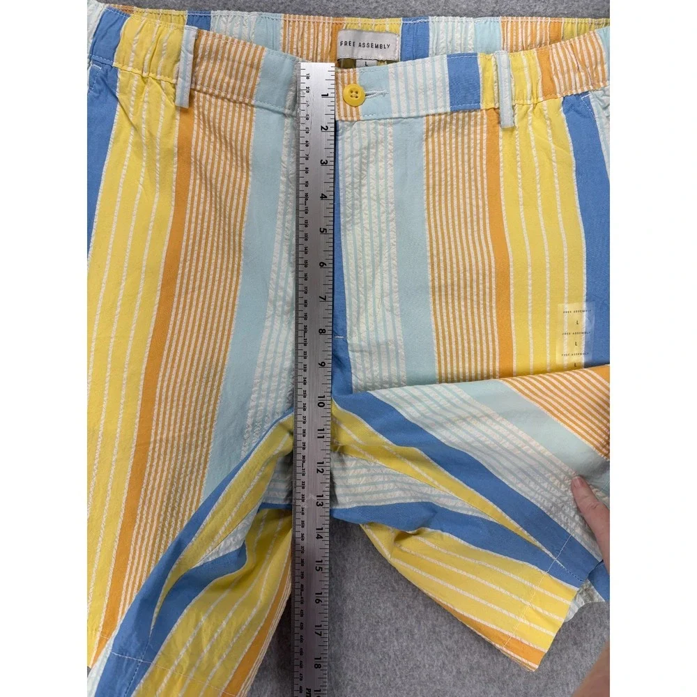 Free Assembly Mens L‎ Seersucker Awning Stripe Shorts Button Zip Cotton